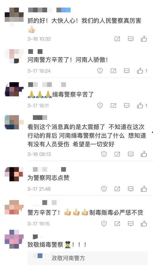 河南大事件爆料视频播放,揭秘视频播放背后的热点与焦点